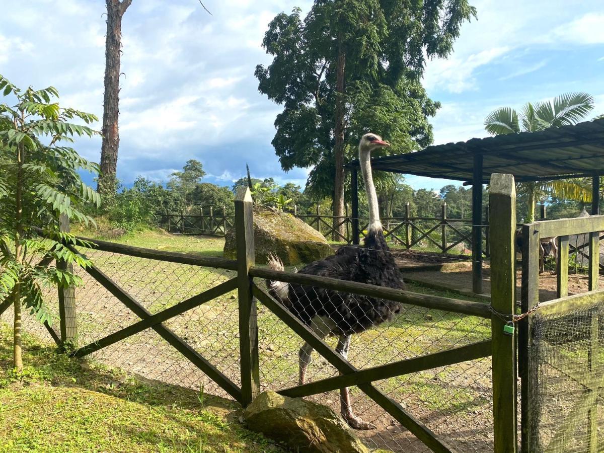 Hotel Rancho Ecoturistico El Faro La Mesa  Esterno foto